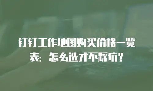 钉钉工作地图购买价格一览表：怎么选才不踩坑？
