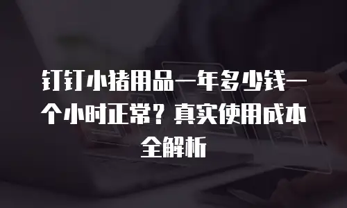 钉钉小猪用品一年多少钱一个小时正常？真实使用成本全解析