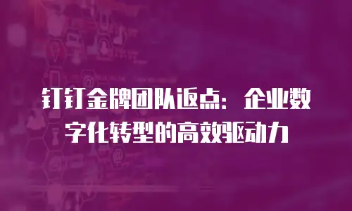 钉钉金牌团队返点：企业数字化转型的高效驱动力