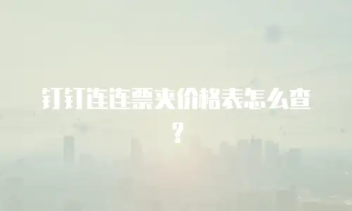 钉钉连连票夹价格表怎么查？