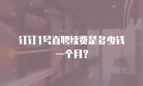 钉钉1号直聘续费是多少钱一个月？