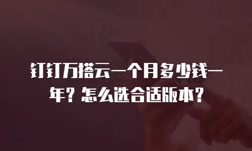 钉钉万搭云一个月多少钱一年？怎么选合适版本？