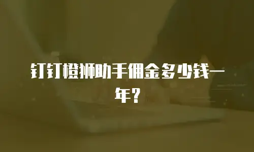 钉钉橙狮助手佣金多少钱一年？