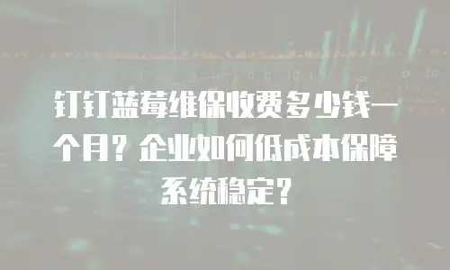 钉钉蓝莓维保收费多少钱一个月？企业如何低成本保障系统稳定？