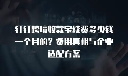 钉钉跨境收款宝续费多少钱一个月的？费用真相与企业适配方案