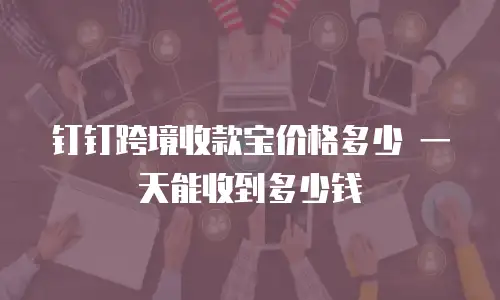 钉钉跨境收款宝价格多少 一天能收到多少钱