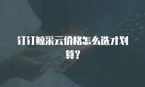钉钉鲸采云价格怎么选才划算？