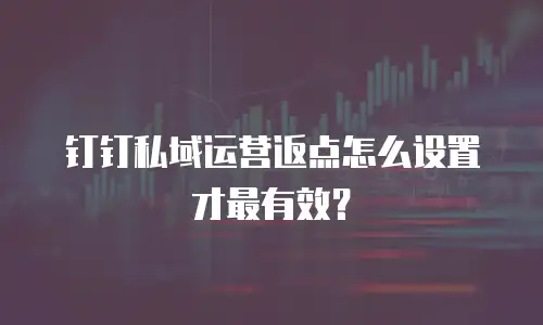 钉钉私域运营返点怎么设置才最有效？