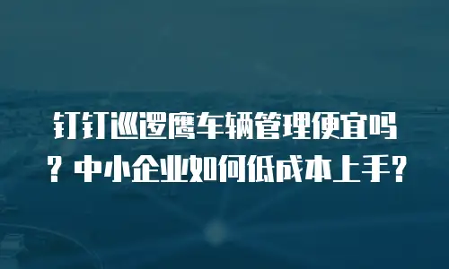 钉钉巡逻鹰车辆管理便宜吗？中小企业如何低成本上手？