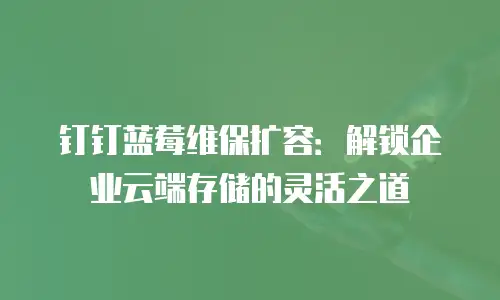 钉钉蓝莓维保扩容：解锁企业云端存储的灵活之道