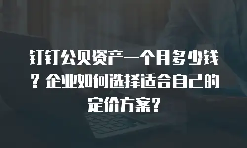 钉钉公贝资产一个月多少钱？企业如何选择适合自己的定价方案？