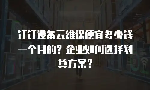 钉钉设备云维保便宜多少钱一个月的？企业如何选择划算方案？