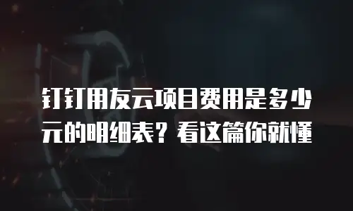 钉钉用友云项目费用是多少元的明细表？看这篇你就懂