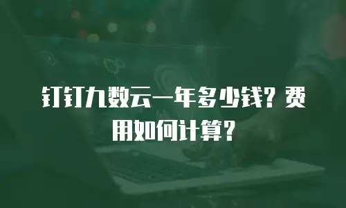 钉钉九数云一年多少钱？费用如何计算？