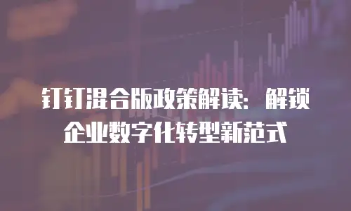 钉钉混合版政策解读：解锁企业数字化转型新范式