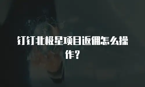 钉钉北极星项目返佣怎么操作？