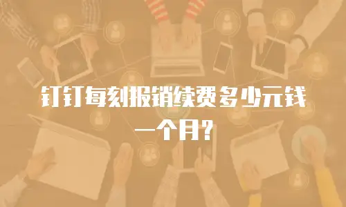 钉钉每刻报销续费多少元钱一个月？
