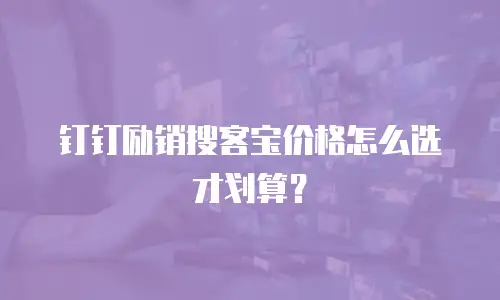 钉钉励销搜客宝价格怎么选才划算？
