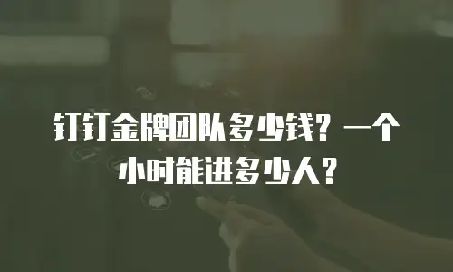 钉钉金牌团队多少钱？一个小时能进多少人？