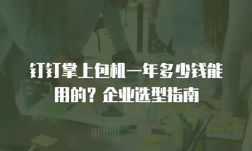 钉钉掌上包机一年多少钱能用的？企业选型指南