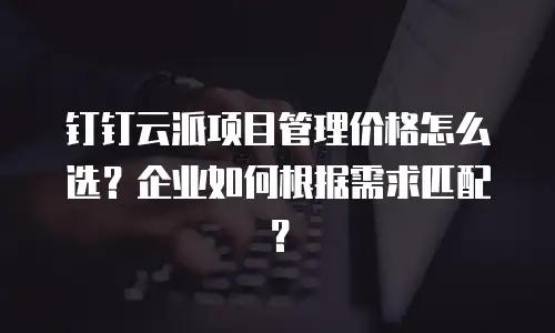 钉钉云派项目管理价格怎么选？企业如何根据需求匹配？