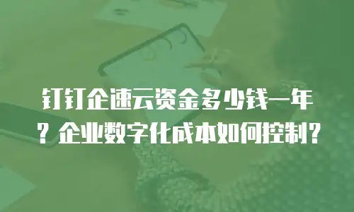 钉钉企速云资金多少钱一年？企业数字化成本如何控制？