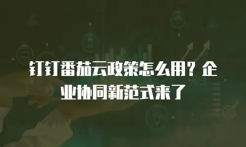 钉钉番茄云政策怎么用？企业协同新范式来了