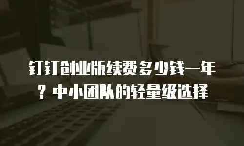 钉钉创业版续费多少钱一年？中小团队的轻量级选择