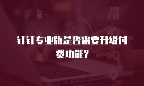 钉钉专业版是否需要升级付费功能？