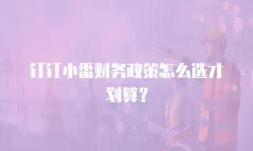 钉钉小番财务政策怎么选才划算？