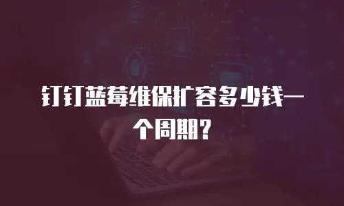 钉钉蓝莓维保扩容多少钱一个周期？