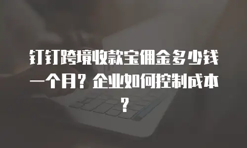 钉钉跨境收款宝佣金多少钱一个月？企业如何控制成本？