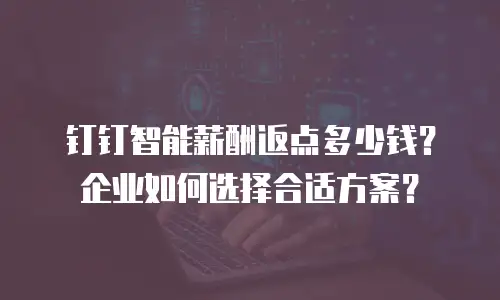 钉钉智能薪酬返点多少钱？企业如何选择合适方案？