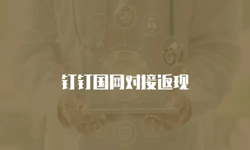 钉钉国网对接返现