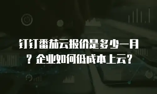 钉钉番茄云报价是多少一月？企业如何低成本上云？
