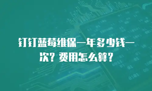 钉钉蓝莓维保一年多少钱一次？费用怎么算？