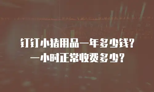 钉钉小猪用品一年多少钱？一小时正常收费多少？