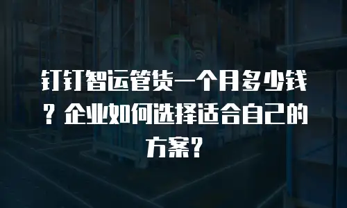 钉钉智运管货一个月多少钱？企业如何选择适合自己的方案？