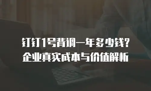 钉钉1号背调一年多少钱？企业真实成本与价值解析
