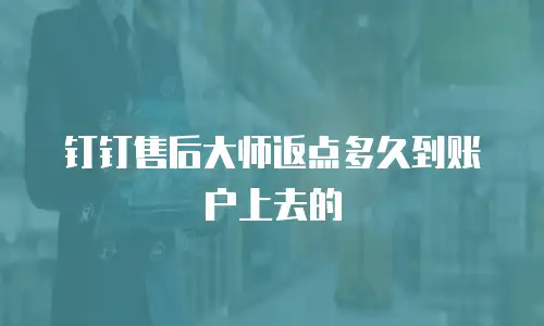 钉钉售后大师返点多久到账户上去的