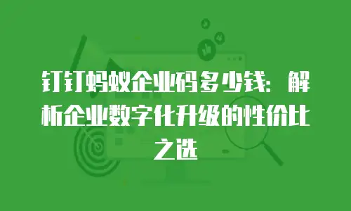 钉钉蚂蚁企业码多少钱：解析企业数字化升级的性价比之选