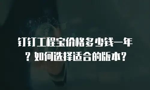 钉钉工程宝价格多少钱一年？如何选择适合的版本？