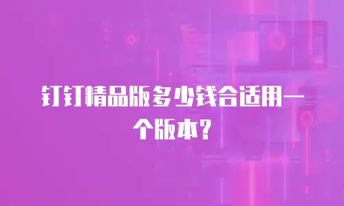 钉钉精品版多少钱合适用一个版本？