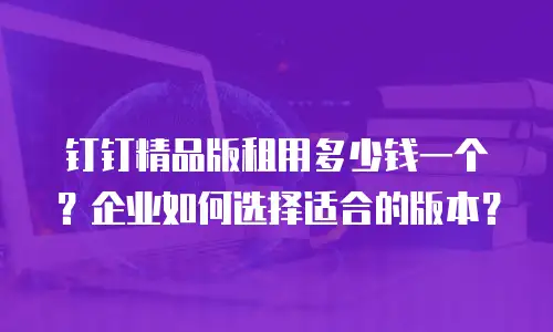 钉钉精品版租用多少钱一个？企业如何选择适合的版本？
