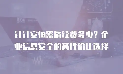 钉钉安恒密盾续费多少？企业信息安全的高性价比选择