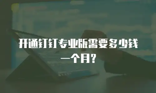 开通钉钉专业版需要多少钱一个月？