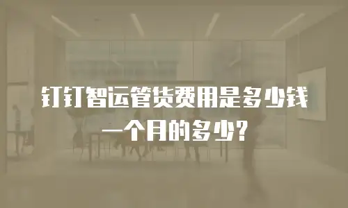 钉钉智运管货费用是多少钱一个月的多少？