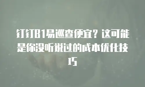 钉钉B1易巡查便宜？这可能是你没听说过的成本优化技巧