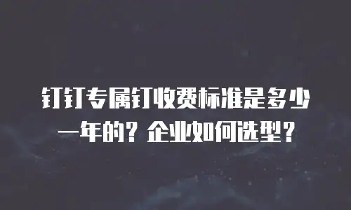 钉钉专属钉收费标准是多少一年的？企业如何选型？