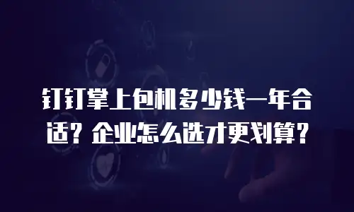 钉钉掌上包机多少钱一年合适？企业怎么选才更划算？